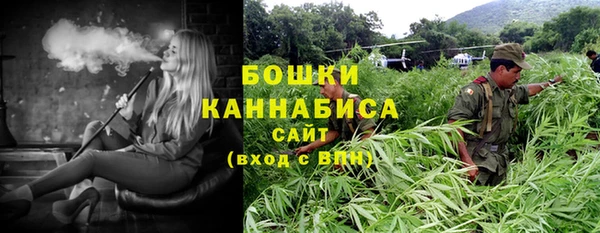 PSILOCYBIN Балабаново