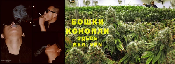 PSILOCYBIN Балабаново