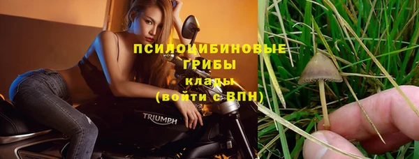 ПСИЛОЦИБИНОВЫЕ ГРИБЫ Аркадак