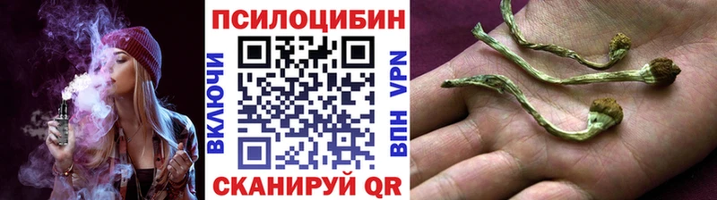 маркетплейс Telegram  Олонец  Псилоцибиновые грибы Psilocybine cubensis  дарнет шоп 